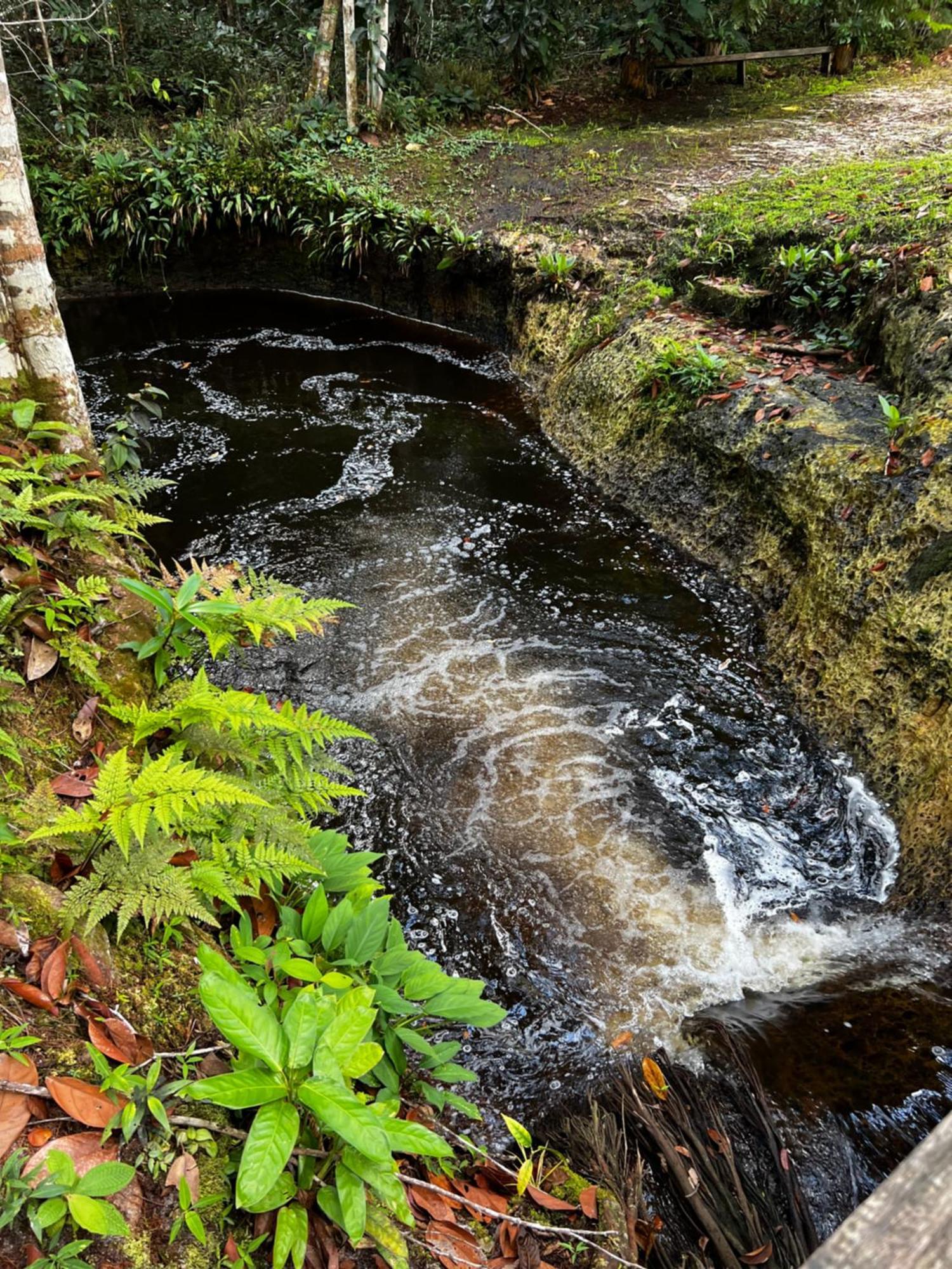 Pousada Paraíso do Calango Azul Presidente Figueiredo Exterior foto
